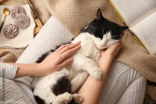 Woman stroking adorable cat on her legs, top view