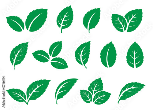 green set leaves and branches mint icons
