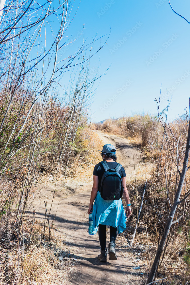 Obraz premium hiking in the forest