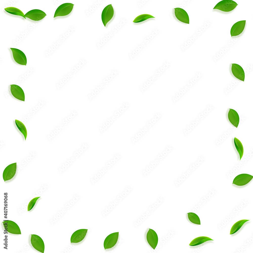 Falling green leaves. Fresh tea random leaves flying. Spring foliage dancing on white background. Adorable summer overlay template. Flawless spring sale vector illustration. Falling green leaves. Fresh tea random leaves flying. Spring foliage dancing on white background. Adorable summer overlay template. Flawless spring sale vector illustration.