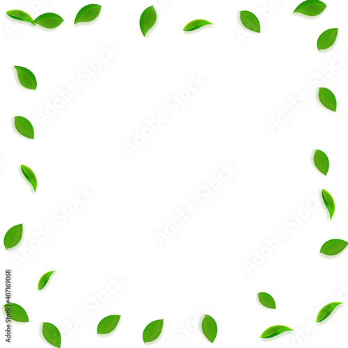 Falling green leaves. Fresh tea random leaves flying. Spring foliage dancing on white background. Adorable summer overlay template. Flawless spring sale vector illustration.