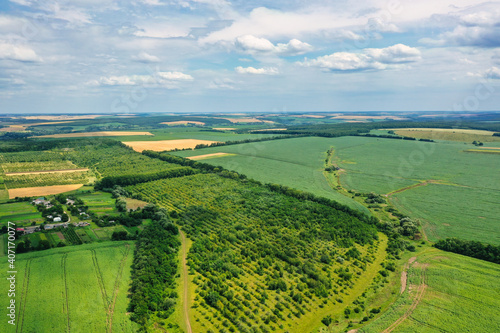 Fototapeta Naklejka Na Ścianę i Meble -  landscape view of one of the parts of Ukraine in the Khmelnytsky and Kiev regions.