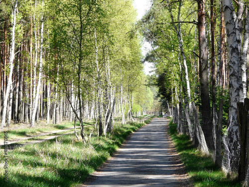Cycleway from Berlin to Copenhagen via Usedom