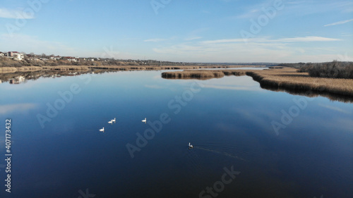 The estuary of a river with blue water. On the bank and in the middle of the river there are dry grass and reeds. There are village with one-story houses on the shore. White swans float on the river