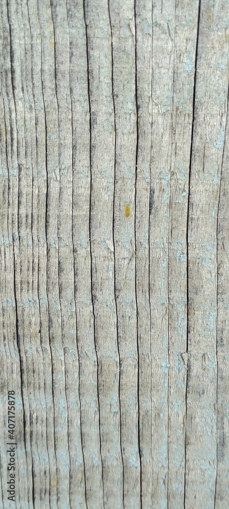 Texture Texture
