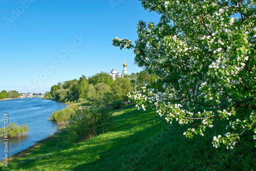 Blooming apple tree against the background of St. Sophia Cathedral and the Vologda River