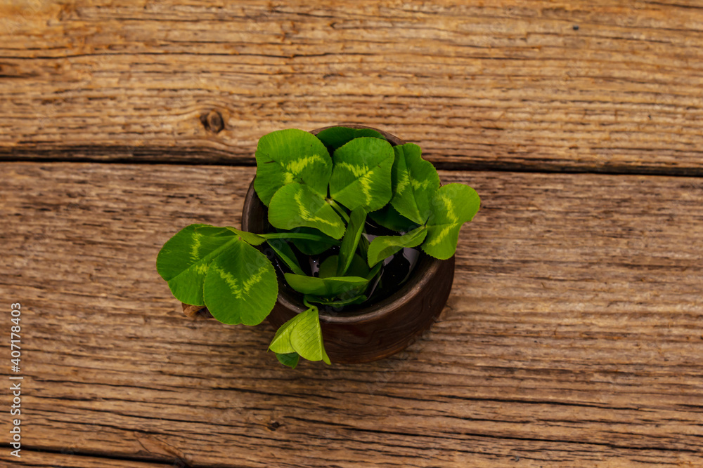 Fresh clover bouquet in ceramic cup. Good luck symbol, St.Patrick's Day concept. Old wooden boards background Fresh clover bouquet in ceramic cup. Good luck symbol, St.Patrick's Day concept. Old wooden boards background