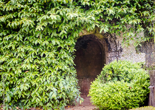 Wall covered with plants and entrance to the pantry in the XVIII century Bussaco Palace park in Portugal photo