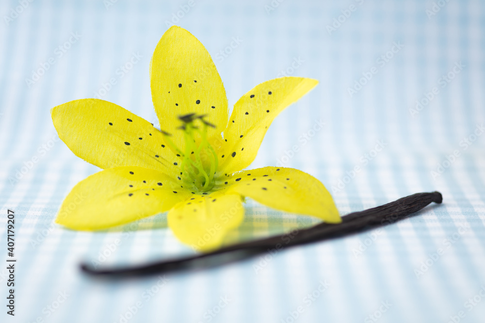 Vanilleschote mit Blüte von Vanille Stock Photo | Adobe Stock