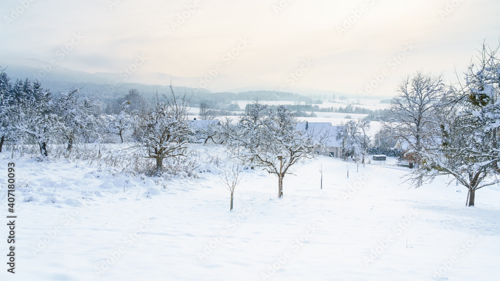 cold winter snow scenery