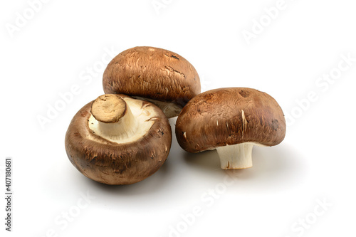 Champignon.Royal mushroom champignons, close-up, isolated on a white background.