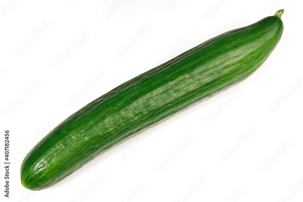 Fresh Cucumber isolated on white Background Fresh Cucumber isolated on white Background