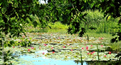 Arboretum Bolestraszyce photo