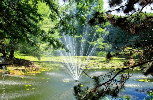 Arboretum Bolestraszyce photo