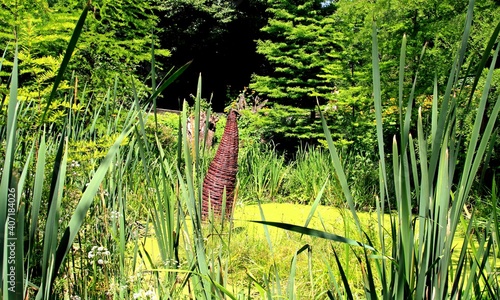 Arboretum Bolestraszyce photo