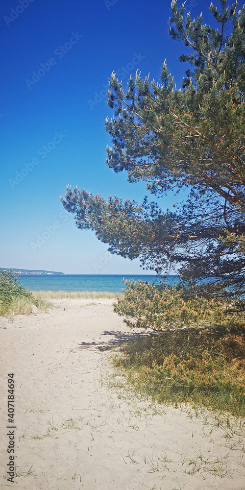 Der Strand in Prora