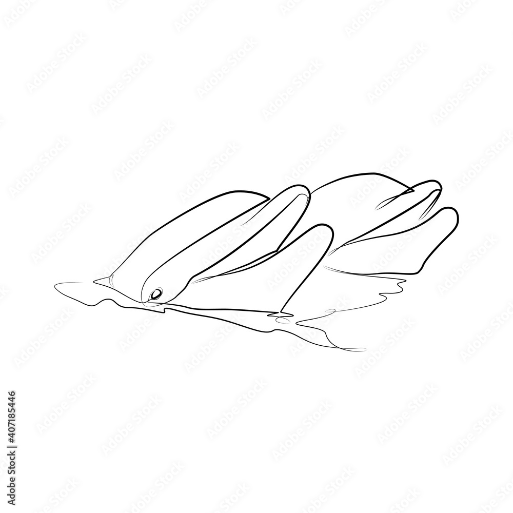 Two dophins in one line. Black line vector illustration on white background Two dophins in one line. Black line vector illustration on white background