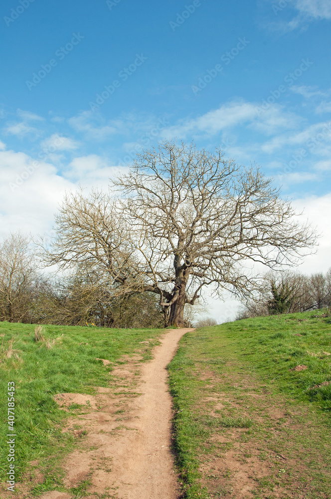 Malvern hills in the springtime Malvern hills in the springtime