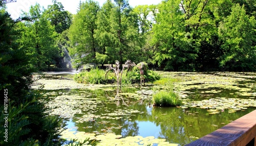 Arboretum Bolestraszyce photo