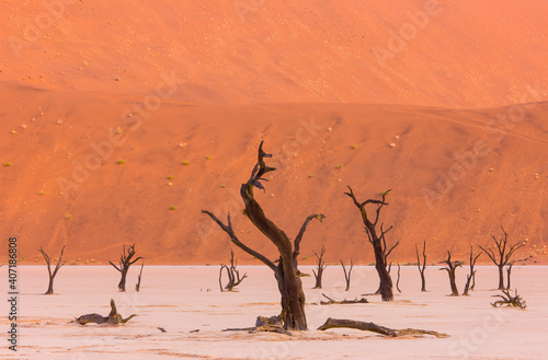 Deadvlei, Sossus Vlei, Desierto Namib, Namibia, Africa