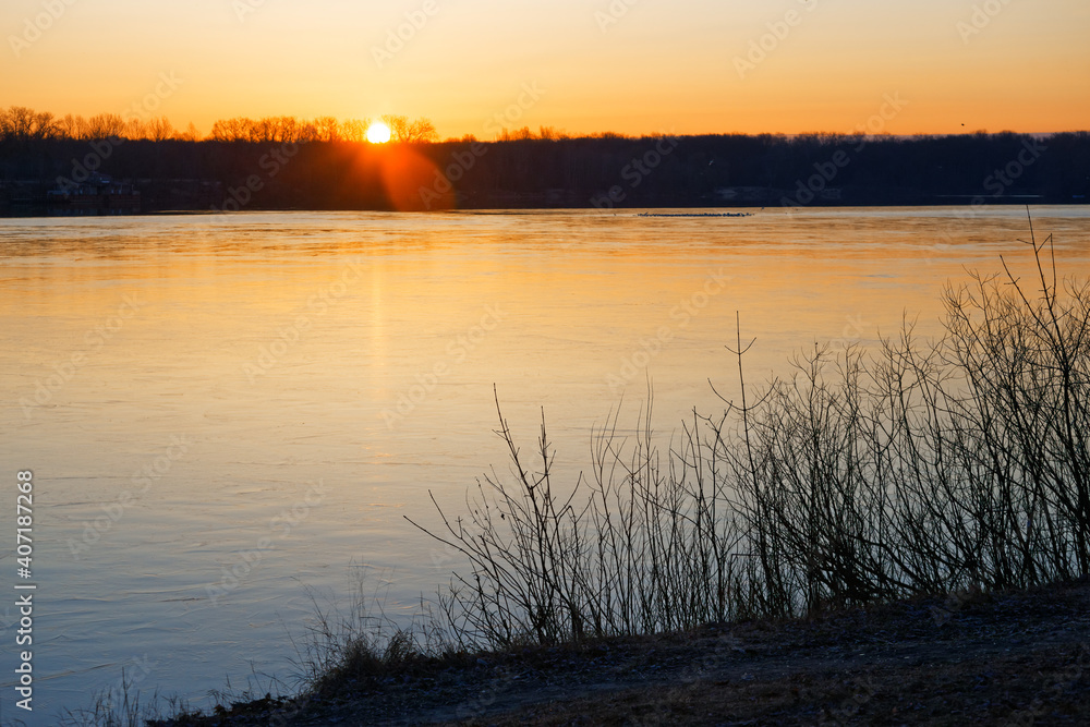 Naklejka premium Beautiful landscape with old willow tree at sunrise. River