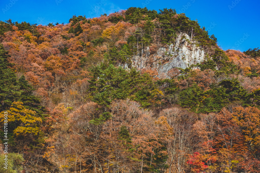 綺麗な紅葉に染まった山