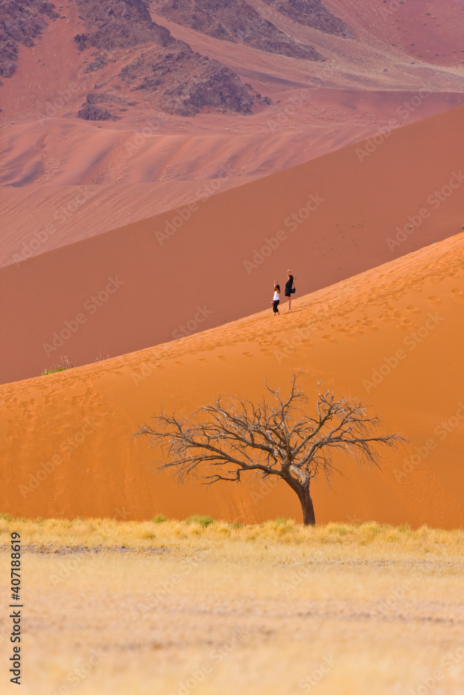Duna 45 Desierto Namib Namibia Africa
