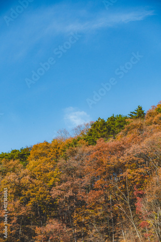 綺麗な紅葉に染まった山 © Kengo/ けんご