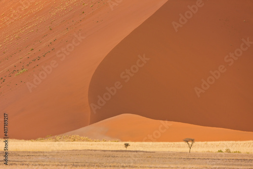 Namib desert   Namib Naukluft National Park  Namibia  Africa