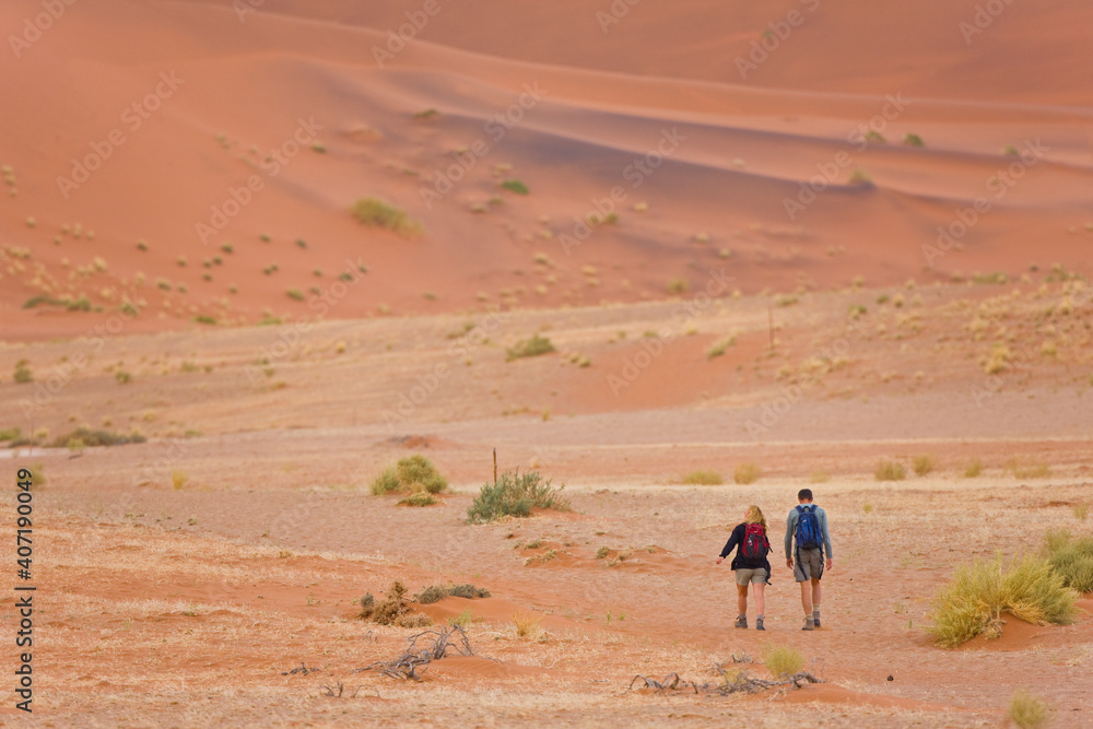 Desierto Namib Namibia Africa