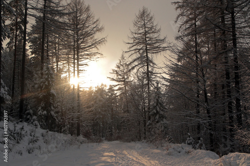 Fototapeta Naklejka Na Ścianę i Meble -  Winter in Little Beskids, Poland