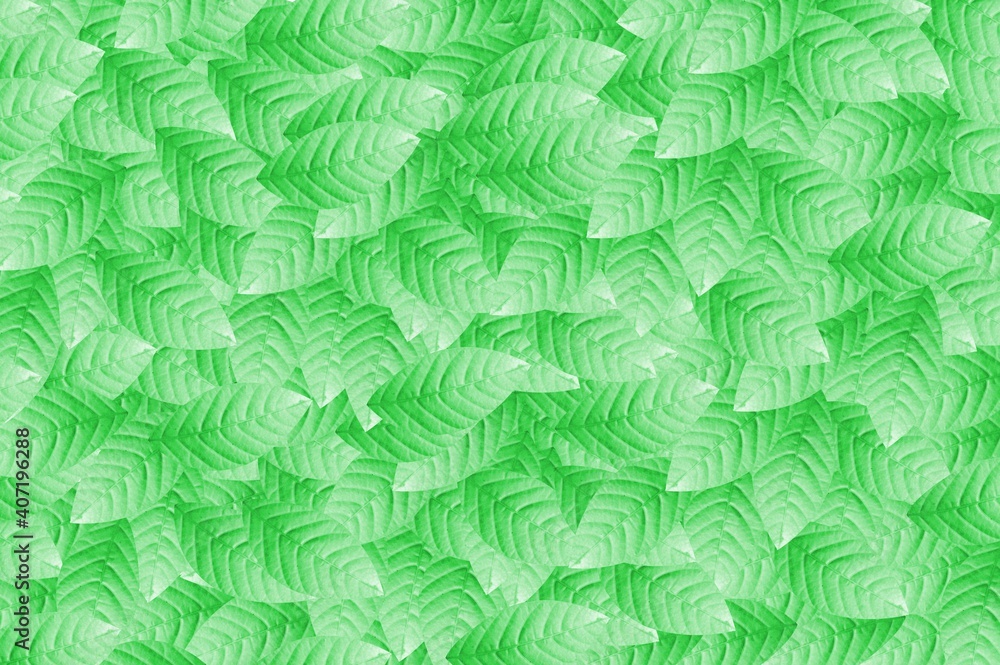 fresh green leaf pattern background