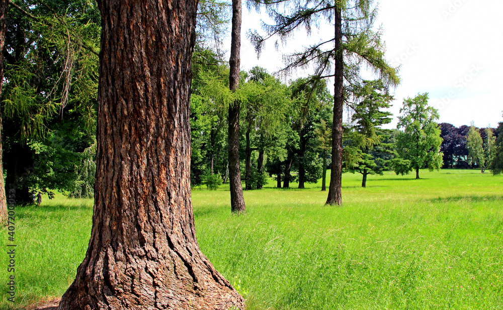 Kańczuga , Sietesz , Markowa , Kraczkowa , Łańcut - Storczykarnia , Łańcut park Kańczuga , Sietesz , Markowa , Kraczkowa , Łańcut - Storczykarnia , Łańcut park