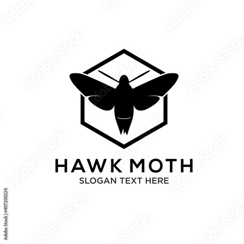hawk moth logo design vector