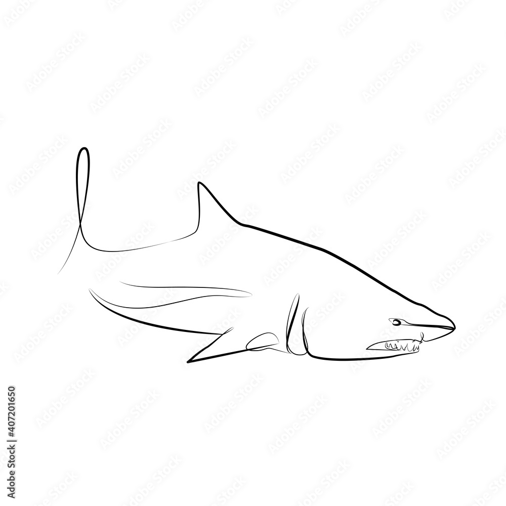 Obraz premium Shark in one line. Black line vector illustration on white background