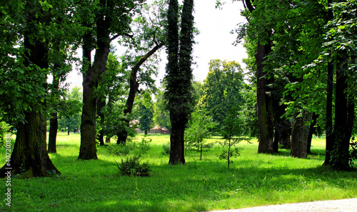 Kańczuga , Sietesz , Markowa , Kraczkowa , Łańcut - Storczykarnia , Łańcut  park photo