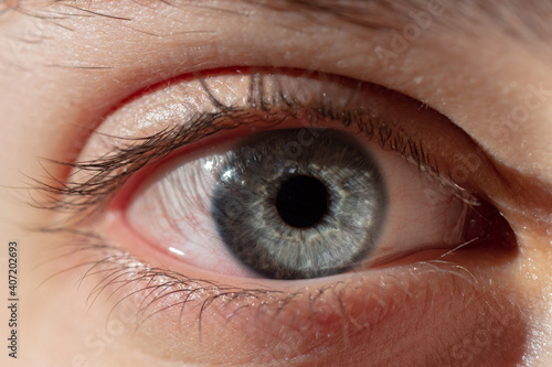 close up of a human blue eye macro