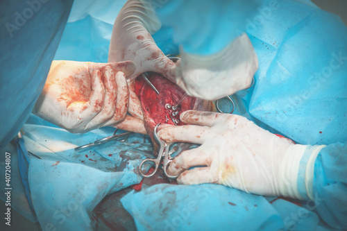 Dog in the animal hospital. Dirty image of canine during surgery - rupture of the leg. Health, animal, hospital, treatment, medicine concept. Horizontal image.