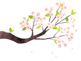 水彩風 葉桜の枝のイラスト