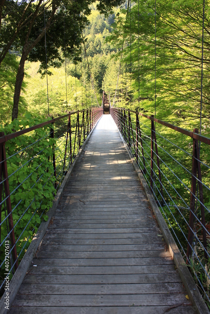 道志道の景色　相模原と山中湖を結ぶと自然豊かな風情ある道　野原吊り橋