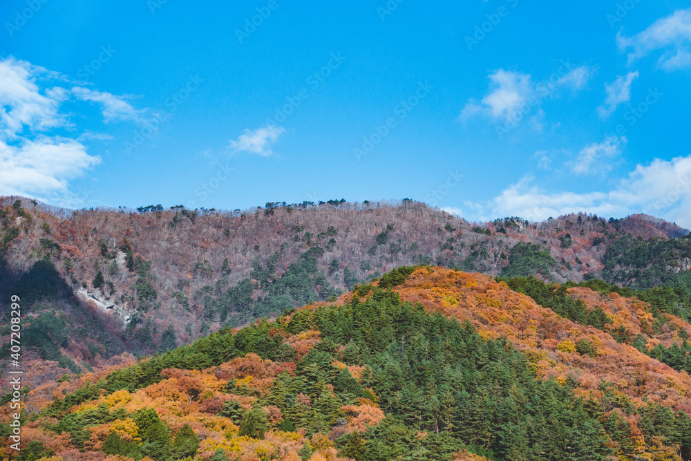 紅葉のオレンジ色に染まった山