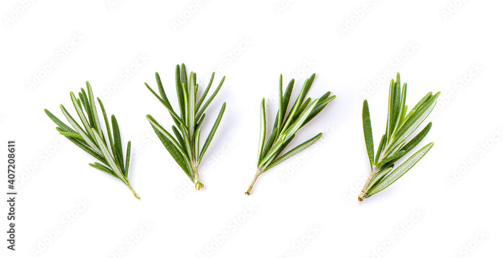 Fototapeta premium view