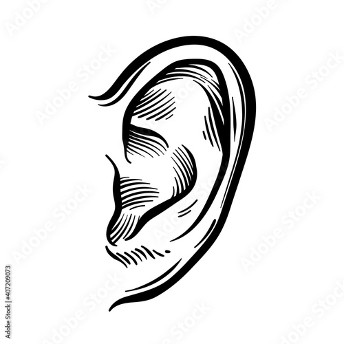 Hand Drawn Ear Sketch Symbol. Vector Listen Element In doodle Style isoleted on white.
