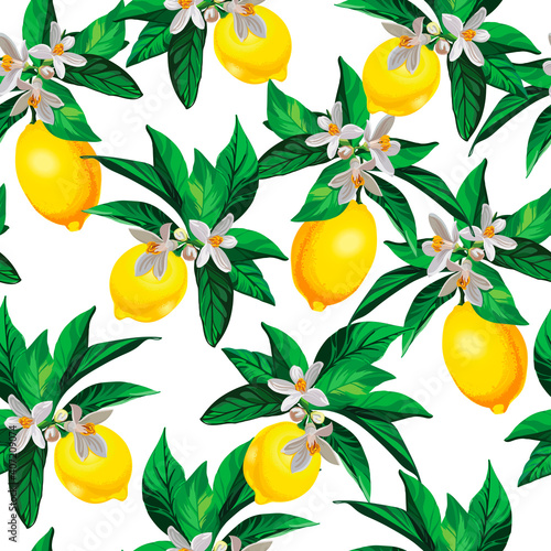 Lemon citrus vector pattern. Botanical vector illustration. Summer background. Floral design.