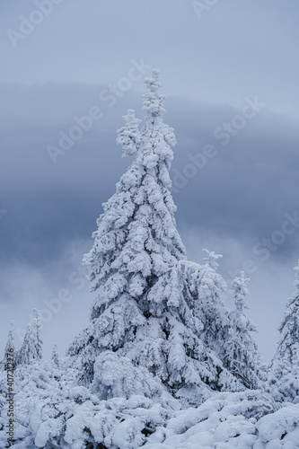 Wallpaper Mural Krokonose mountains is located in northeastern Bohemia and in the south of the Polish part of Silesia. The highest mountain in the Giant Mountains and the whole of the Czech Republic is Snezka 1603m. Torontodigital.ca