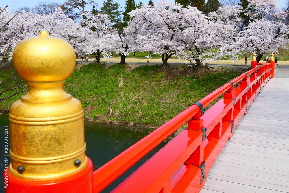 日本の春。鶴ヶ城市民公園。会津若松、福島、日本。４月中旬。