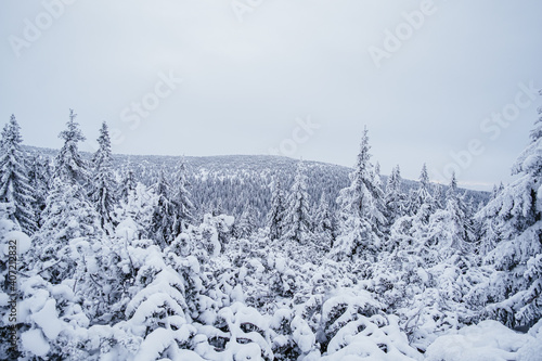 Krokonose mountains is located in northeastern Bohemia and in the south of the Polish part of Silesia. The highest mountain in the Giant Mountains and the whole of the Czech Republic is Snezka 1603m. photo