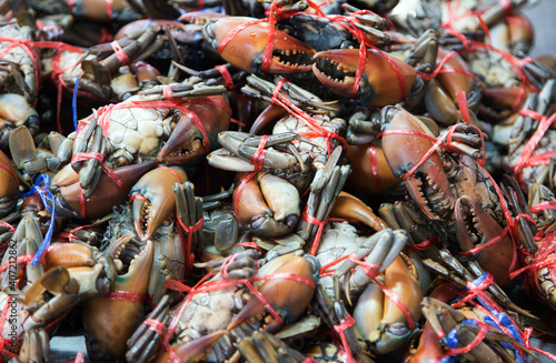 raw crab with rope for sale at seafood market © Yanukit