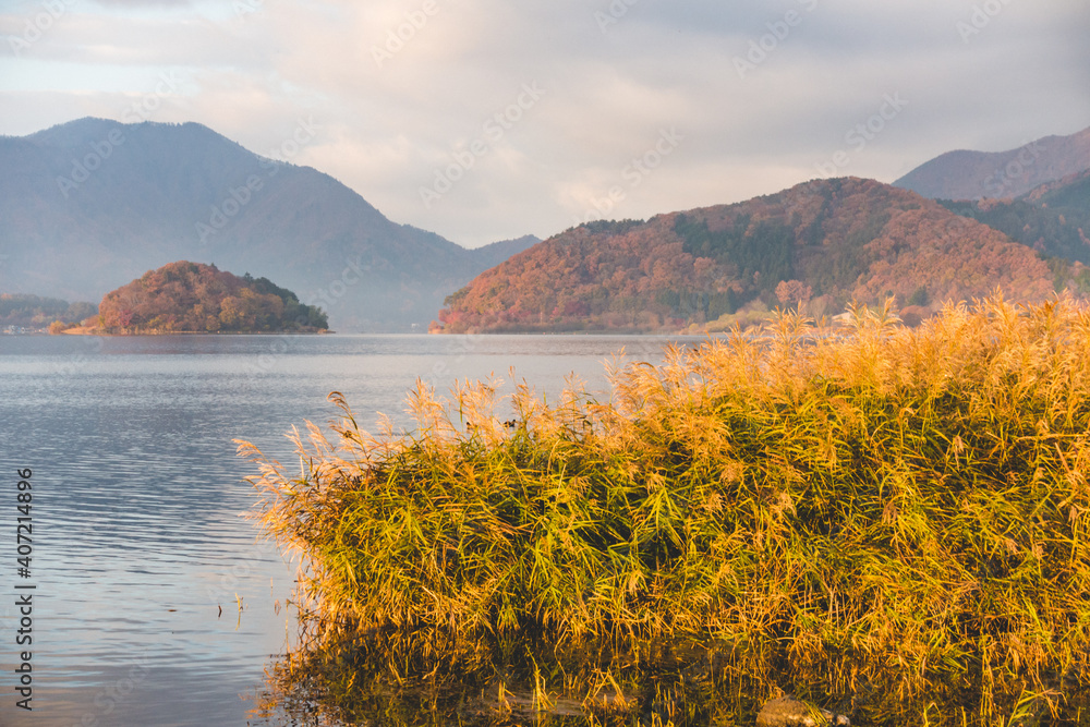 Naklejka premium 早朝の湖のほとりの風景