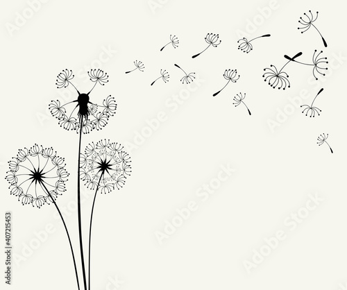 Flying dandelion seeds  vector illustration
